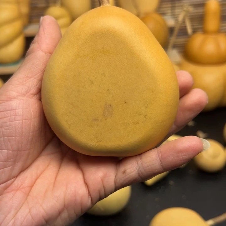 娃*哈66999969699999