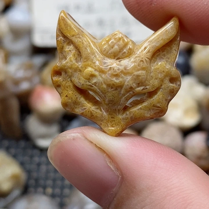颈饰未镶嵌硅化珊瑚（珊瑚玉）小