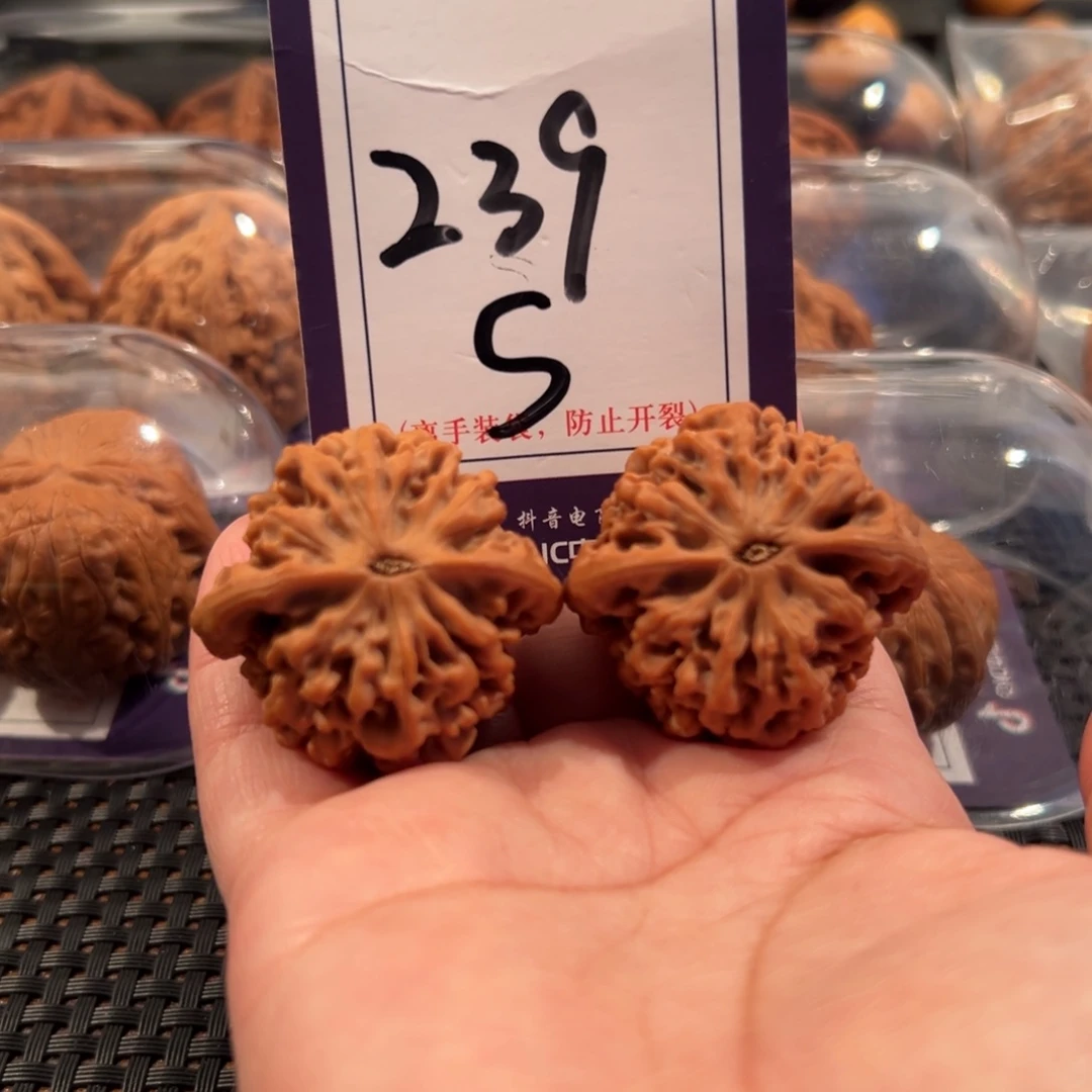 文玩核桃把件239号秦闷37全品
