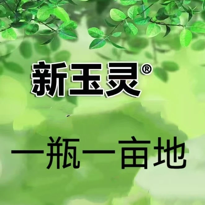 新玉灵玉米田增效助剂