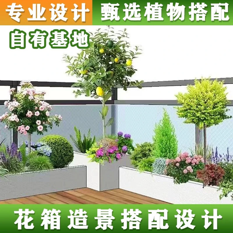 花镜植物组合 上海包上门种好 花园别墅庭院花坛绿植盆栽设计造景
