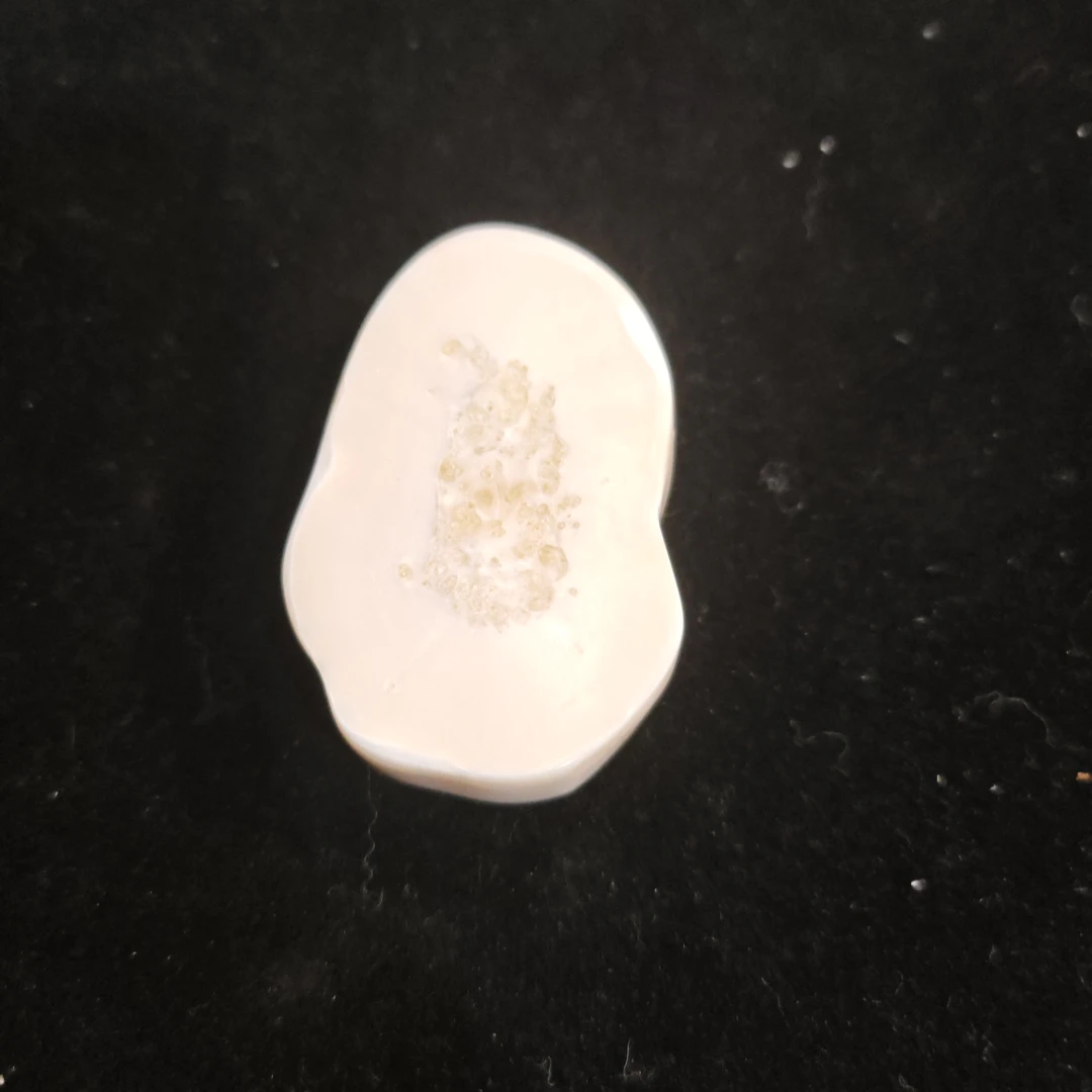 猛犸猛犸虬饼子WW871