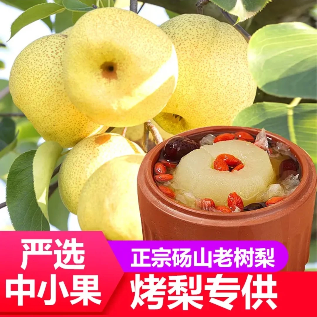 《烤梨专属》正宗砀山酥梨纯甜新鲜水果砀山梨酥脆烤梨专属