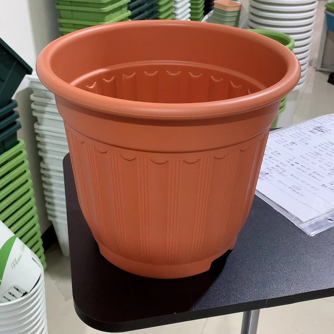 树脂罗马口24红4个无托