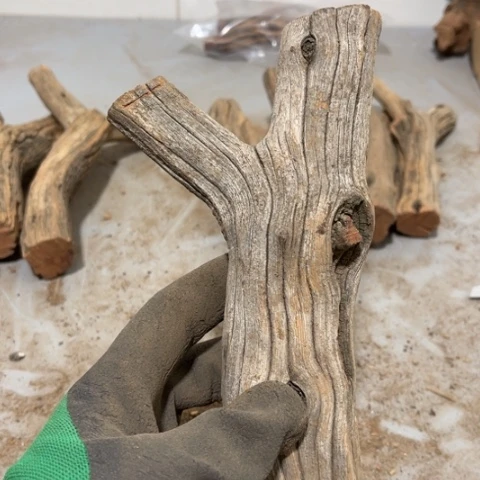 大果紫檀（缅甸花梨）求*