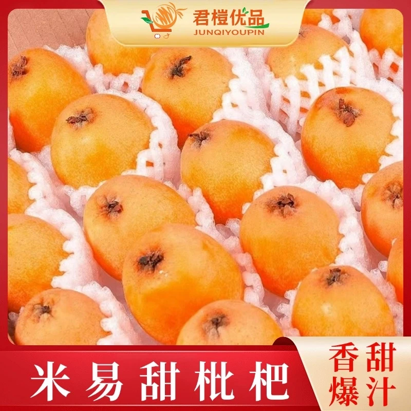 【米易枇杷】正宗四川高山早中大五星新鲜皮薄多汁细腻爽口香甜多汁