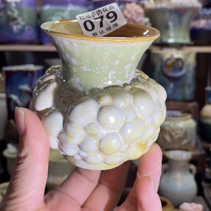 狼盆 内口径6高度8