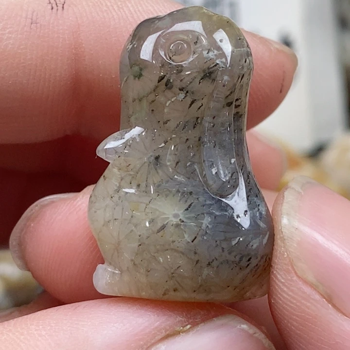 颈饰未镶嵌硅化珊瑚（珊瑚玉）小