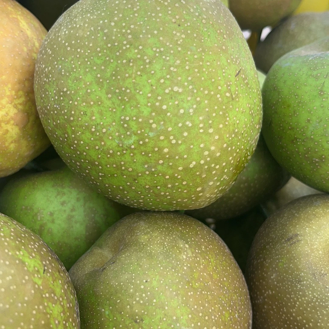 盈盈家庭农场翠冠梨中果8斤左右12颗一盒