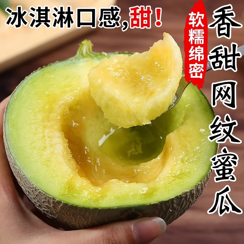 山东海阳网纹蜜瓜鲁厚甜当季新鲜水果冰淇淋哈密瓜玫珑蜜瓜整箱