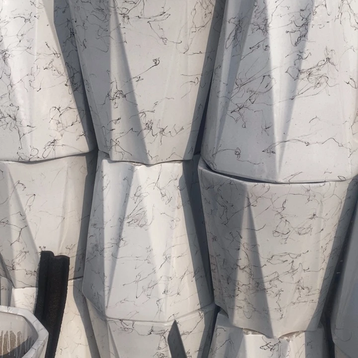 低腰八方飞丝特大号口38/40