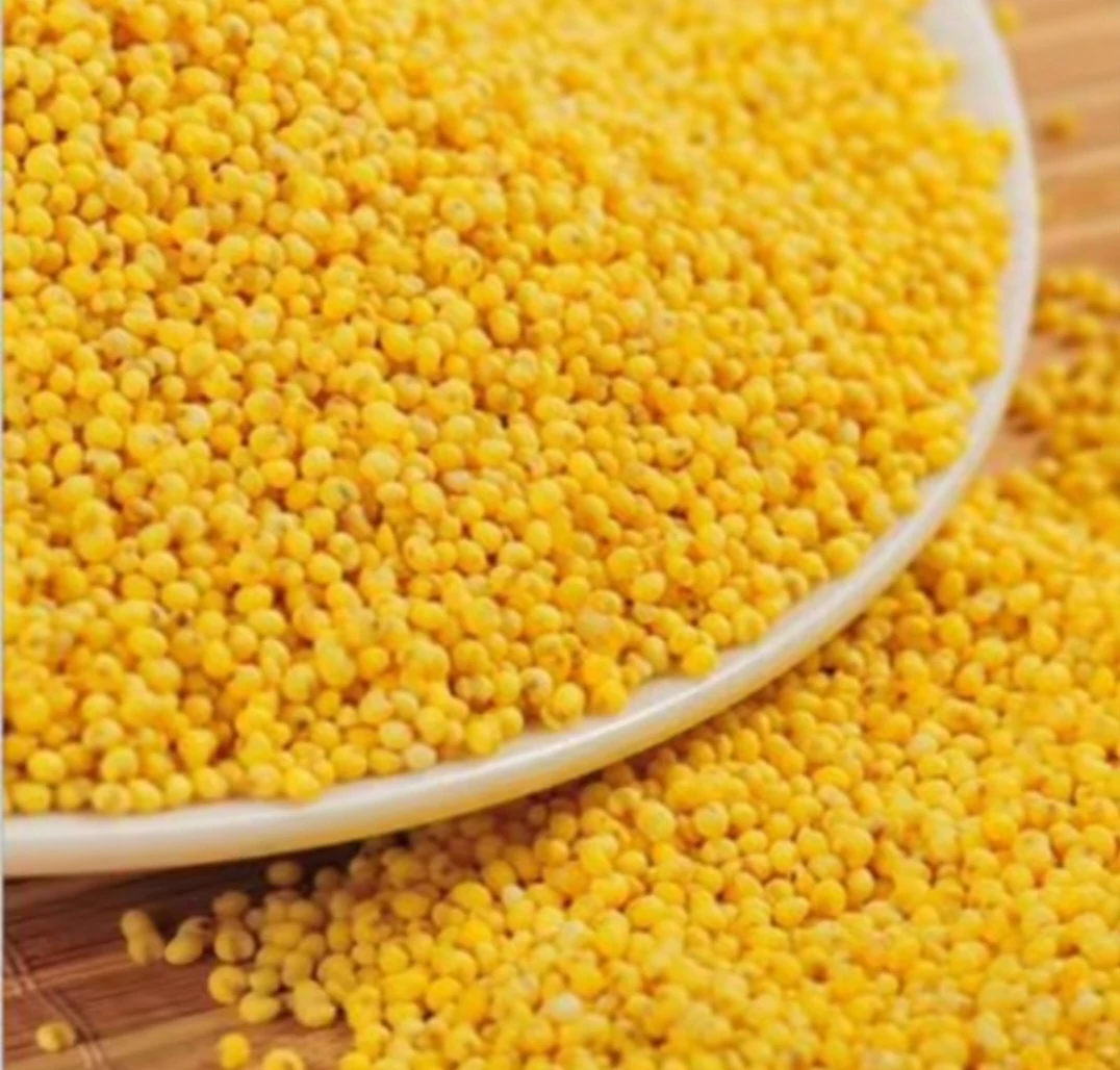 东北农家大黄米 包邮