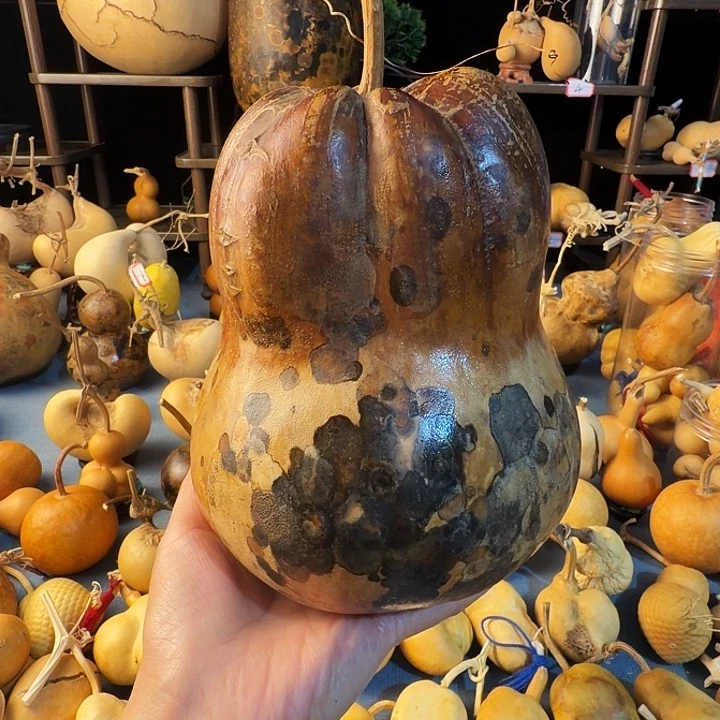 果***0葫芦大厚皮是真的好吃