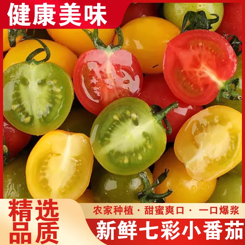 【多彩拼盘】小番茄青口蜜夏阳光彩鲜鲜嫩多汁
