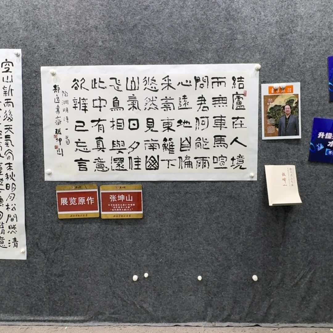 书法书法ZKS老师作品
