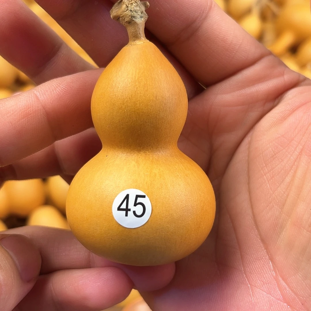 五葫芦葫芦葫芦葫芦45