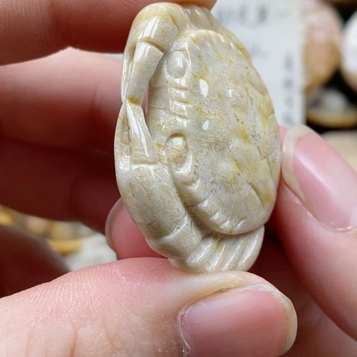 硅化珊瑚（珊瑚玉）未镶嵌颈饰