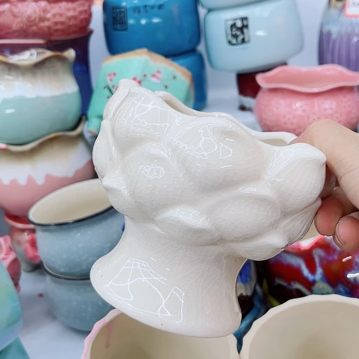 福利花盆9.99包邮