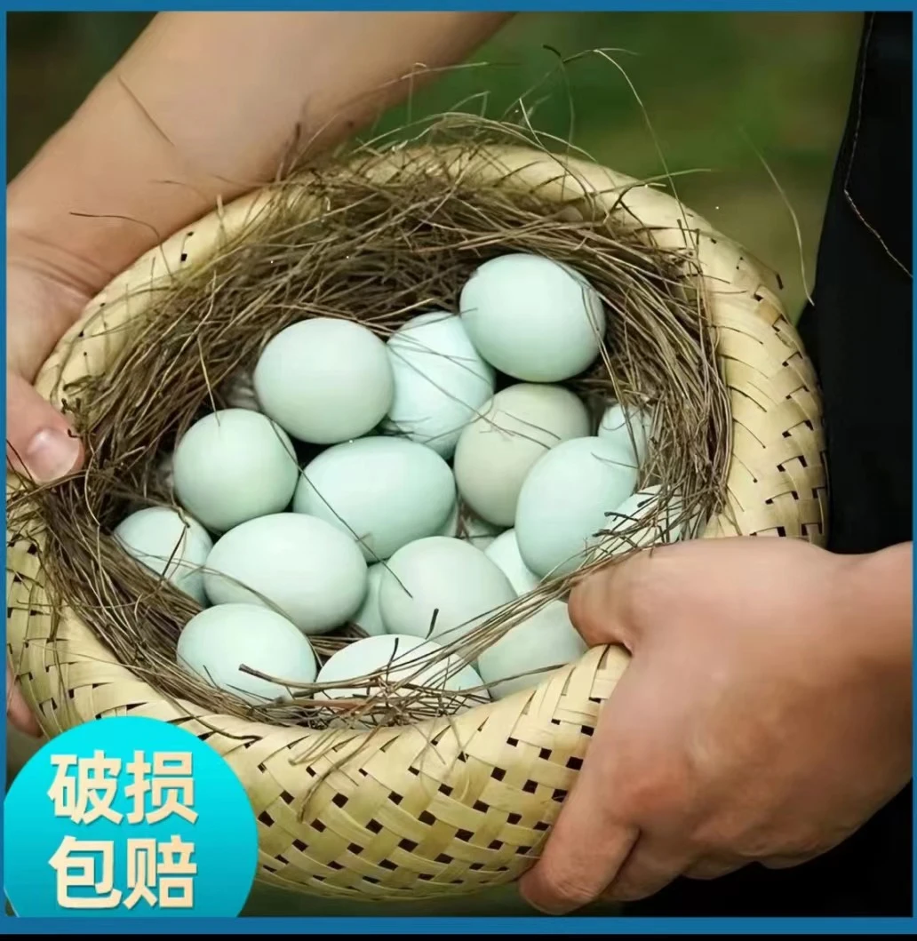 【涛涛助农】土鸭蛋正宗绿壳鸭蛋农家散养原生态新鲜鸭蛋
