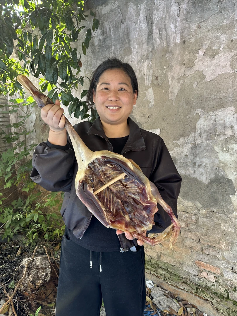 【七胖子专属】皖南农户正宗放养老鸭手工腌制鲜鸭腊味干货