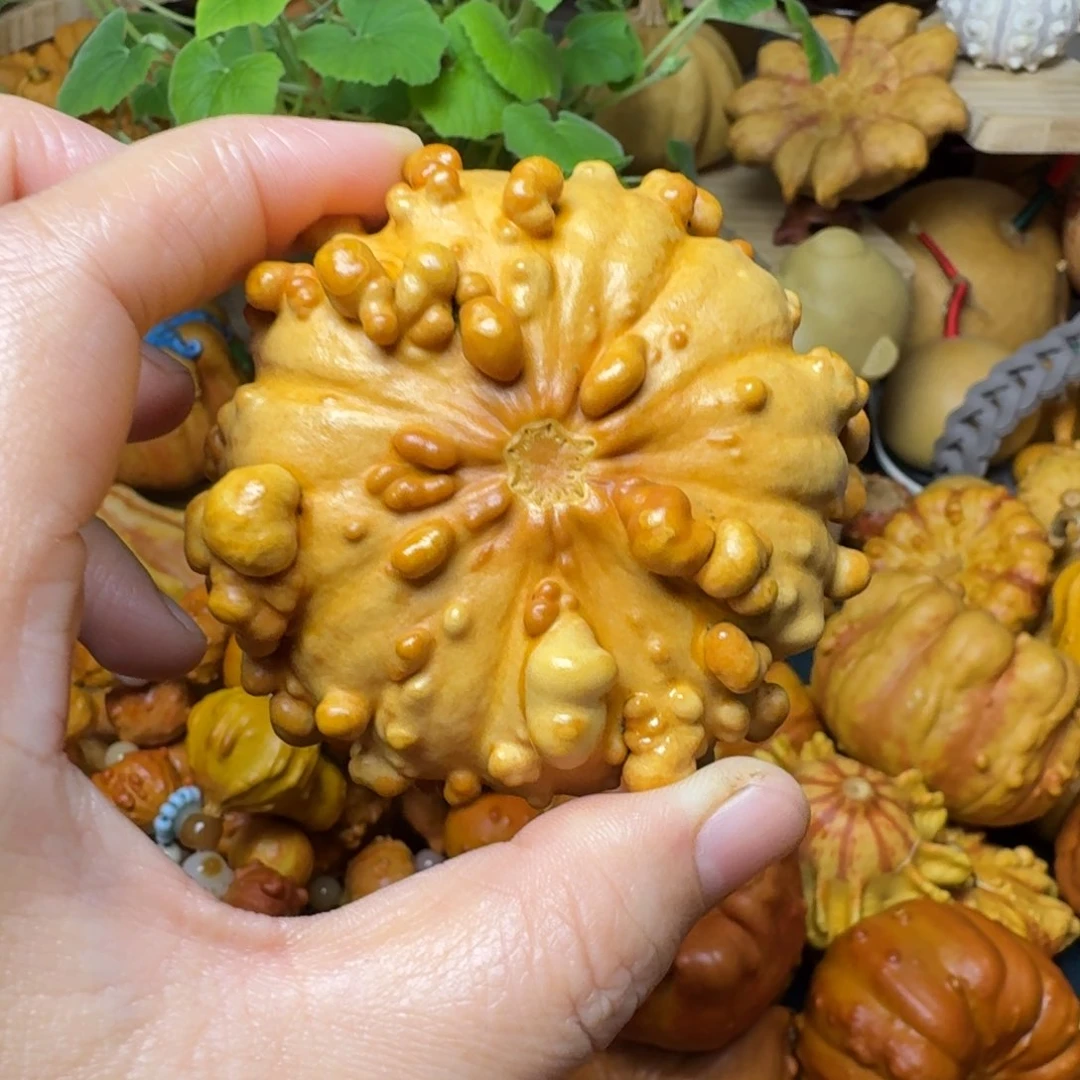 ?****?特价葫芦不退不换