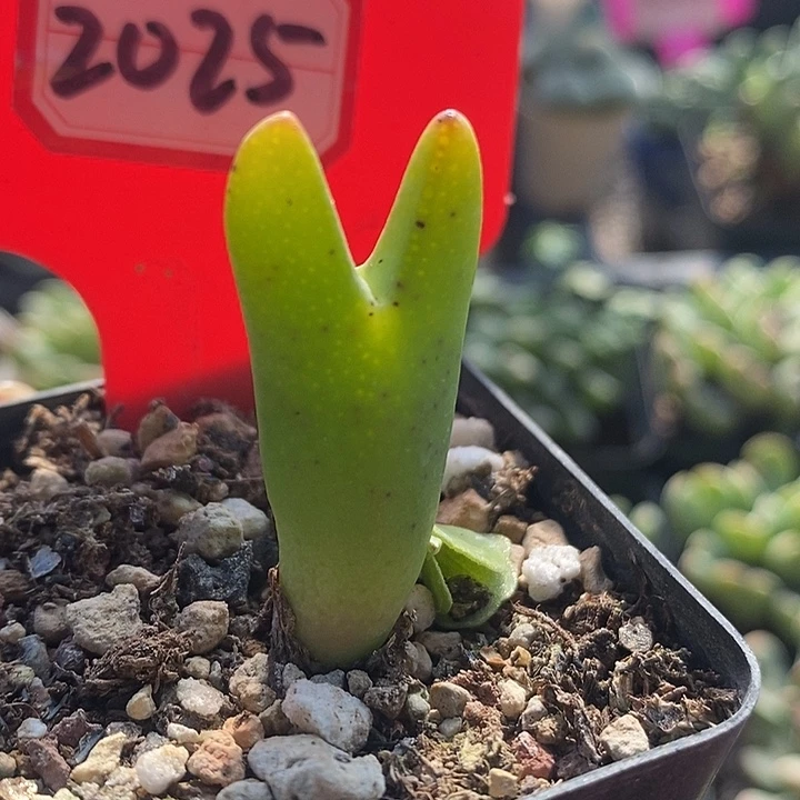 你有钱没我也有时间我在2025