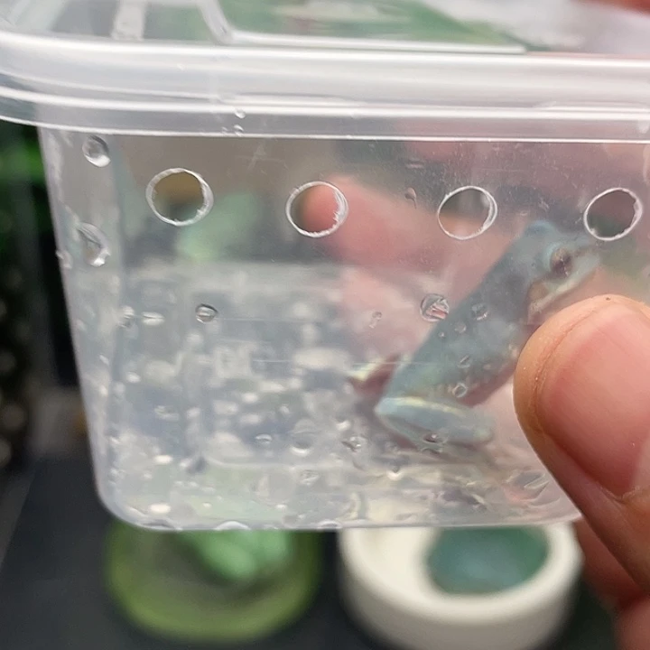 我***肝老爷树蛙10号加热包