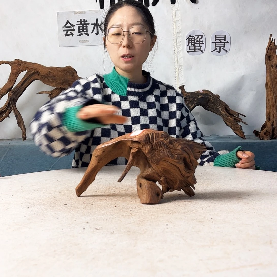 沉木造景寄居蟹景