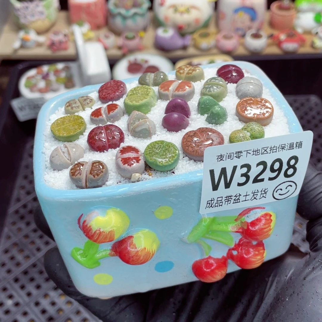 夜间零下地区拍保温箱w3298