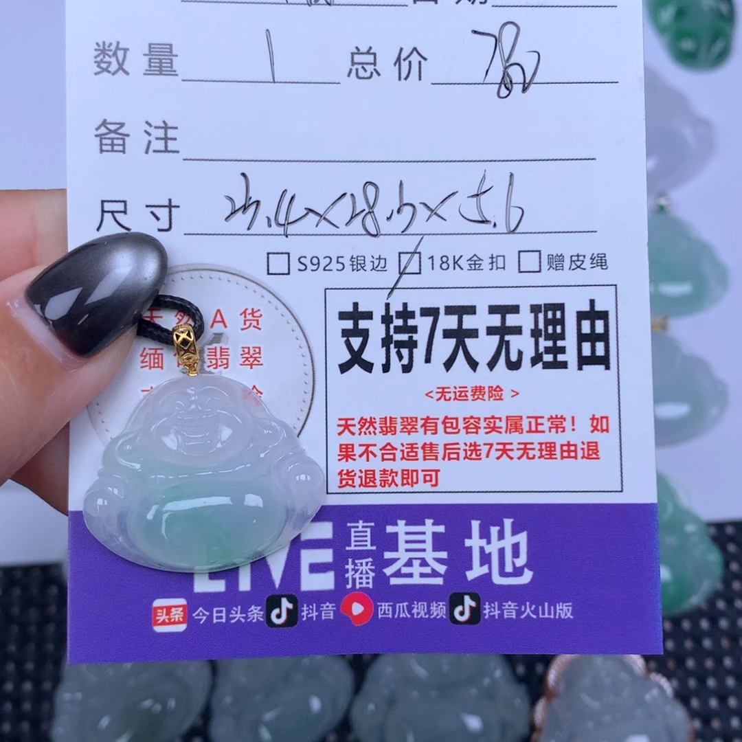 阳***光颈饰未镶嵌翡翠天然