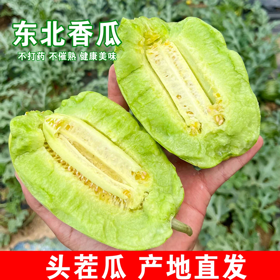 东北头茬瓜香酥刚刚开园香甜脆应季新鲜采摘5斤