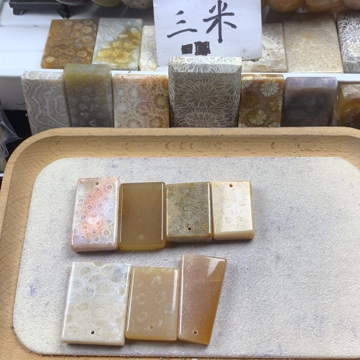 盐***铺硅化珊瑚（珊瑚玉）未镶嵌颈饰