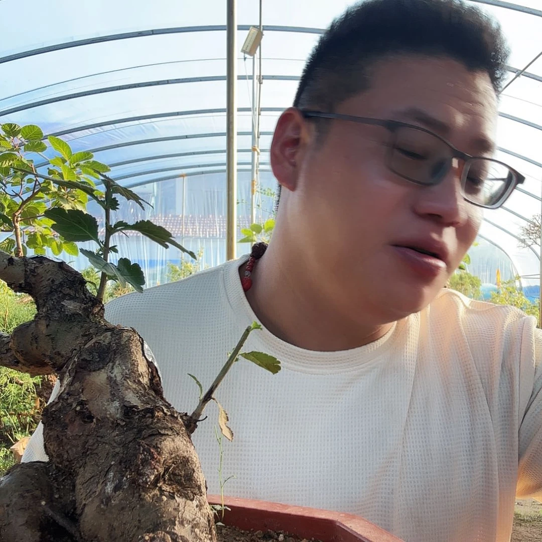 阿***叔当前无花朵，栽培后可花朵