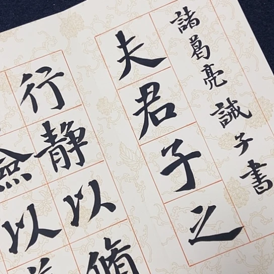 书法张建东老师书法作品