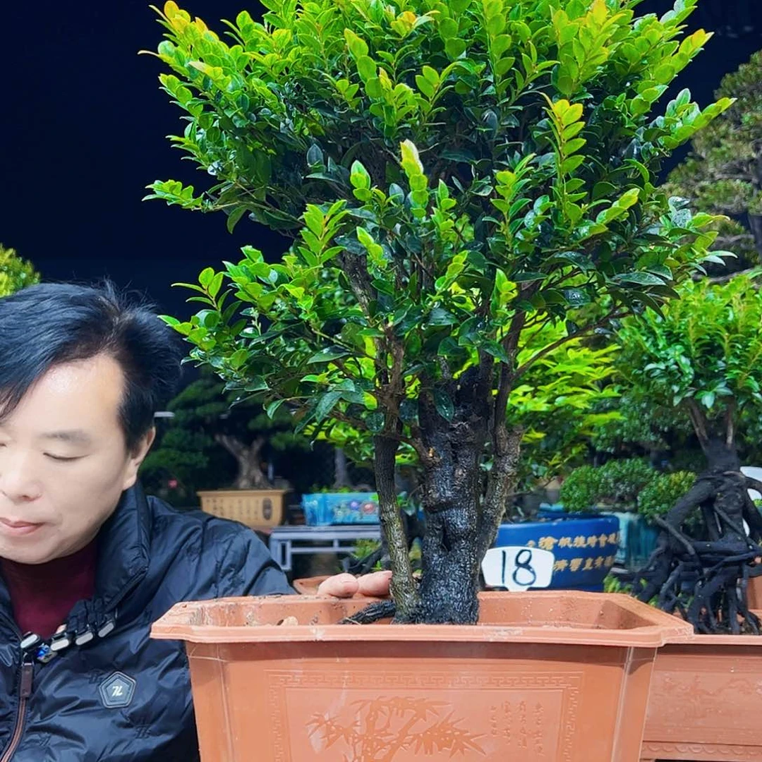 以实际为准赵*菊