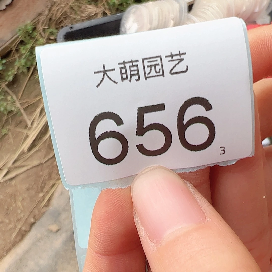 流*瑶0000656 一物一拍……