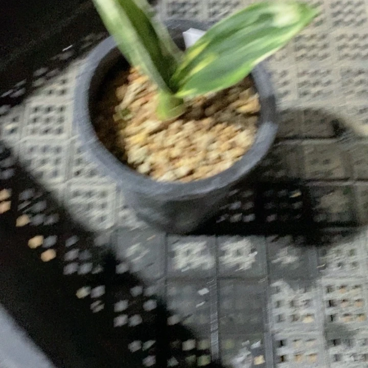 一***僧无花朵jdjdjdjdjdjdjdjdkdk