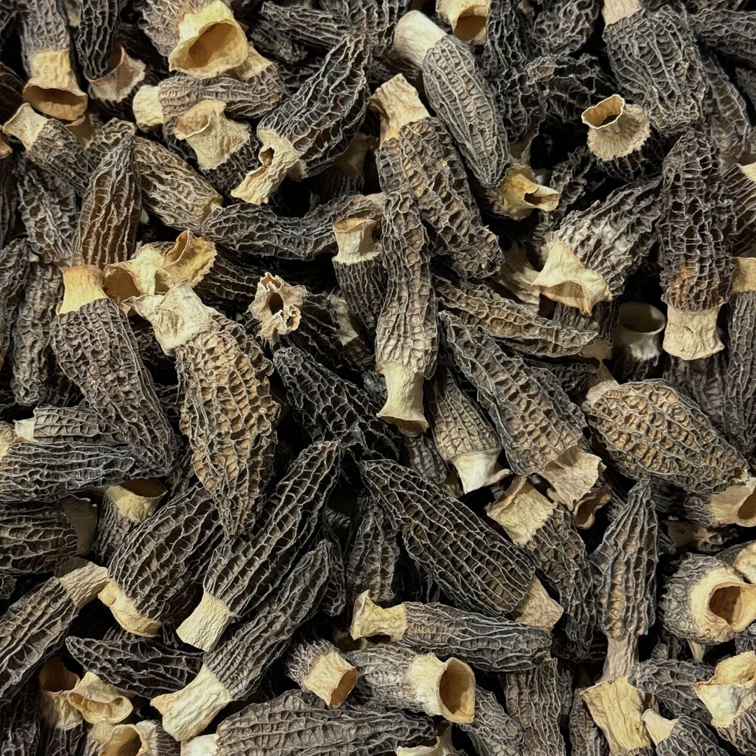 520402羊肚菌干菌菇