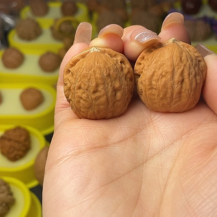 文玩核桃吊坠蚂蚁纹