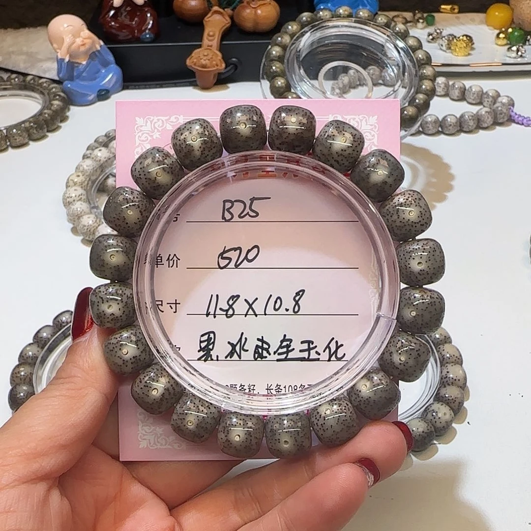 心月星月菩提一号B25