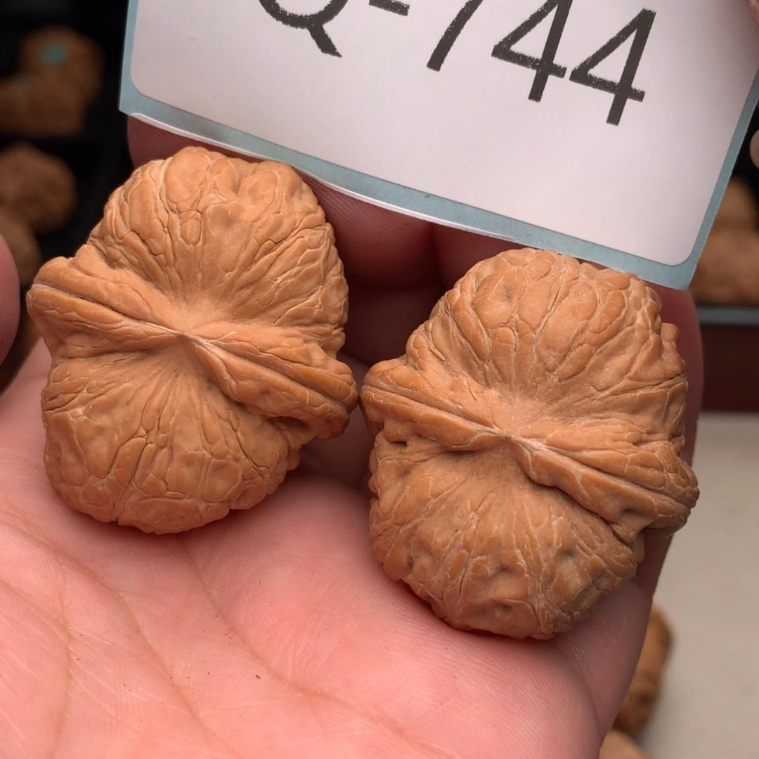 文玩核桃把件40元宝………