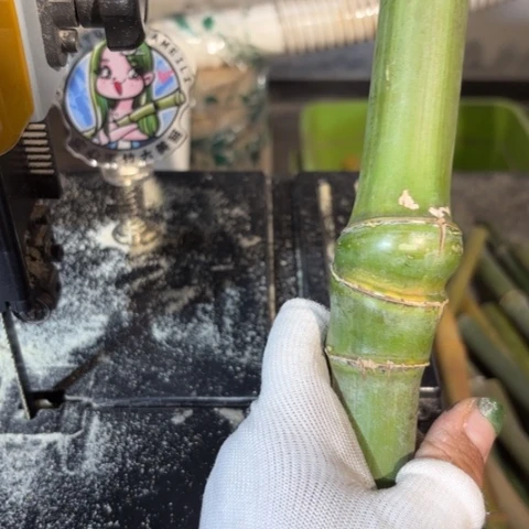 竹成*东实心竹竹竹竹竹竹竹竹