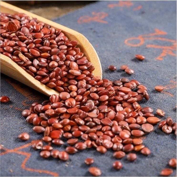 【酸-枣-仁】云南农家现收原料酸-枣-仁生晒干净无杂质50克泡水