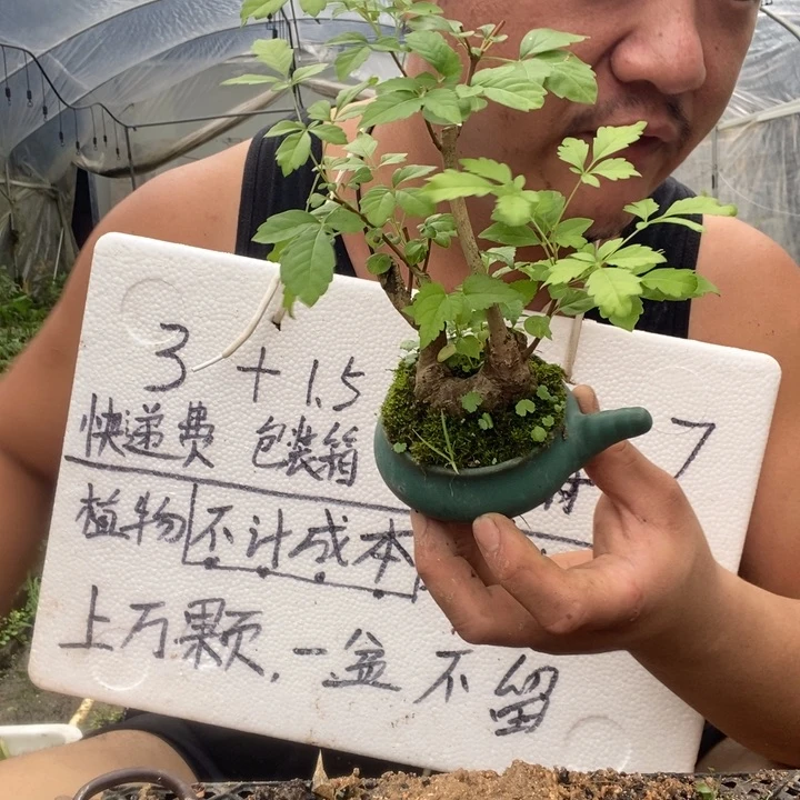 退款拉黑一物一拍99