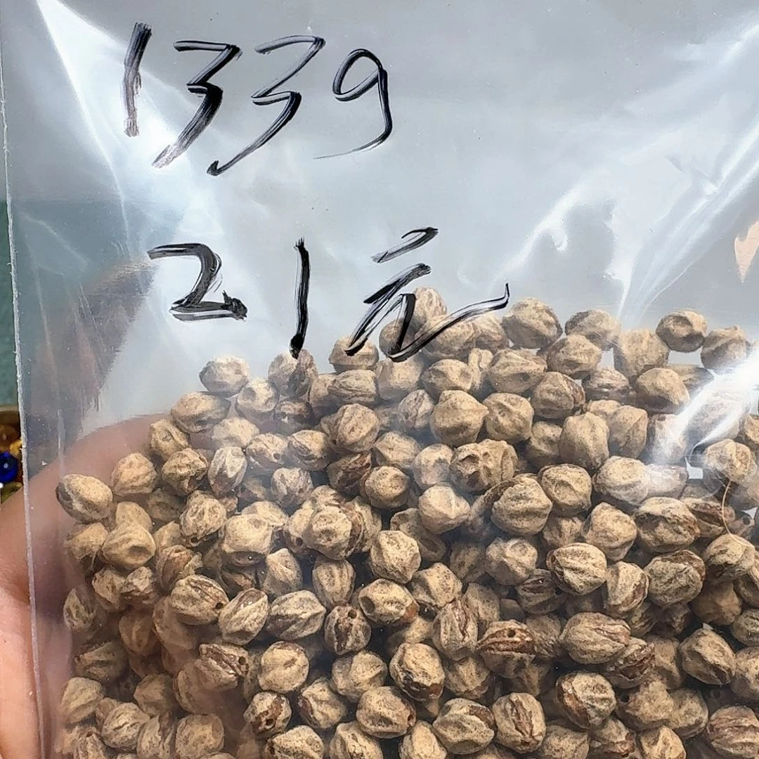 柏香籽/百香籽吊坠?****?