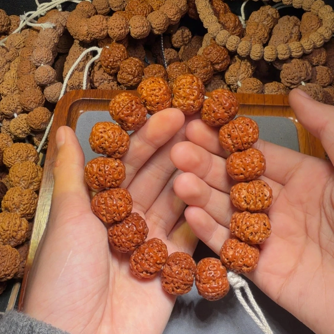 24号尼泊尔大金刚六瓣21原生态梅花