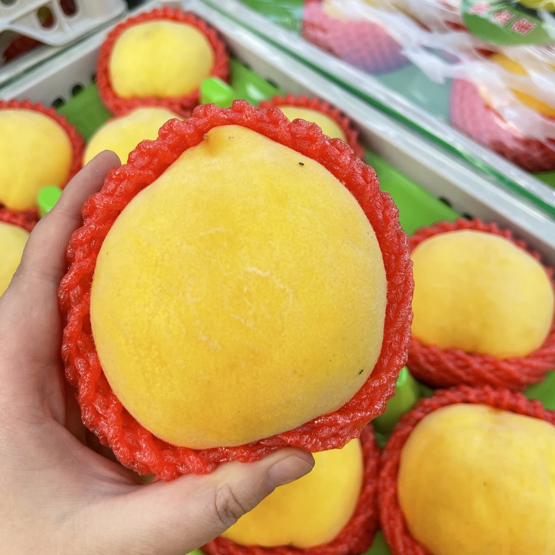 黄金蜜桃 2颗约1-1.2斤浙江省