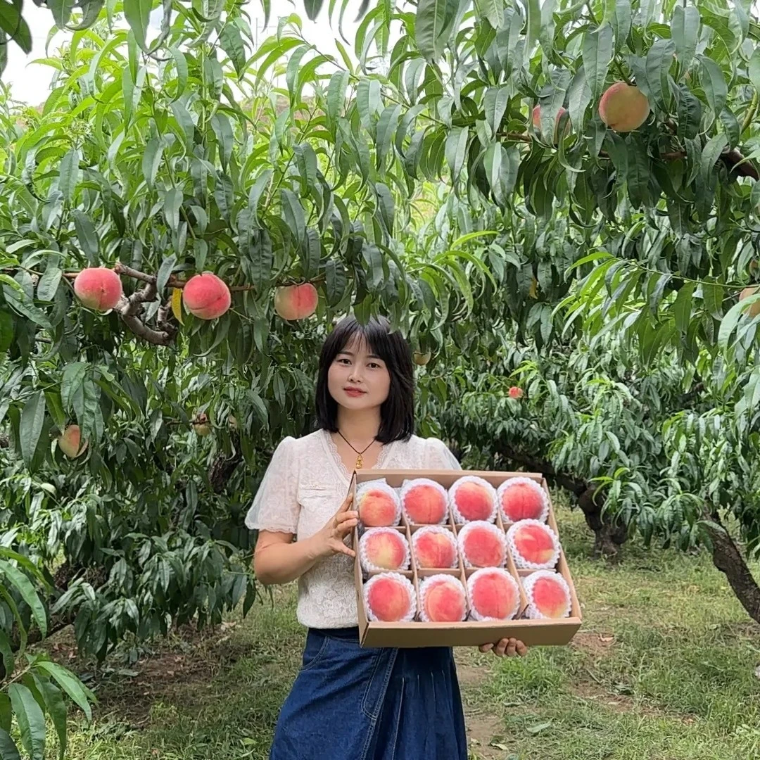 秦安北京7号水蜜桃秦安北京七号水蜜桃【京东空运】