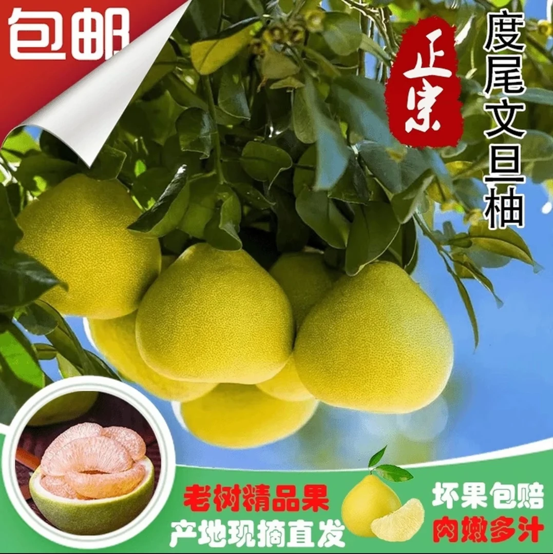 福建仙游度尾文旦柚红心老树新鲜现摘当季酸甜多汁水果