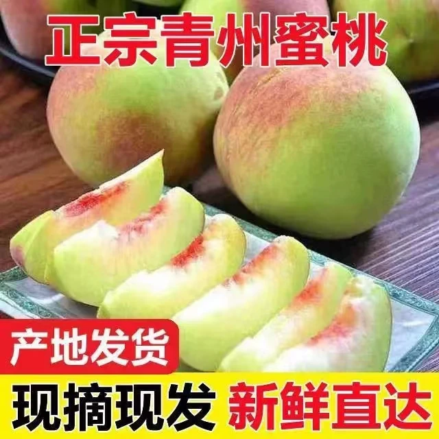 正宗青州蜜桃脆甜离核毛桃脆桃甜桃老少适宜水果